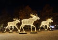 Gigantic elk or moose christmas decoration made of led light Royalty Free Stock Photo