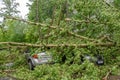 Gigantic fallen poplar tree crushed parked cars as a result of the severe hurricane winds in one of courtyards of Moscow city