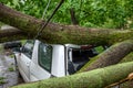 Gigantic fallen tree toppled and crushed parked car as a result of the severe hurricane winds in one of courtyards of Moscow