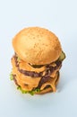 Gigantic gourmet beefburger with golden bun on white background