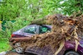 Gigantic roots of the toppled tree crushed parked car as a result of the severe hurricane winds in one of courtyards of Moscow