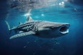 A gigantic whale swims gracefully in the vast ocean, showcasing its massive open mouth, Whale shark swimming in the ocean, AI