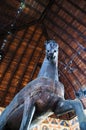 Donatellos Huge Wooden Trojan Horse in the Palazzo de Ragone in Padua Italy