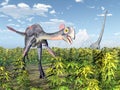 Gigantoraptor and Mamenchisaurus