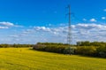 Gigh voltage pole on huge yellow colza field Royalty Free Stock Photo