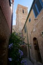 Giglio Castello Royalty Free Stock Photo