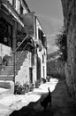 Giglio Castello street BW, Giglio Island, Italy Royalty Free Stock Photo