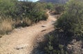 Gila monster crossing Royalty Free Stock Photo