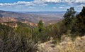 Gila National Forest in New Mexico