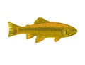 Gila Trout or Oncorhynchus Gilae Side View WPA Art