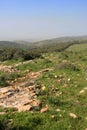 Gilboa, Israel Royalty Free Stock Photo
