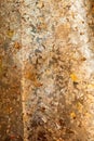 Gild texture background