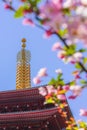Gilded bronze needle of pagoda in Asakusa with a bokeh of cherry blossoms.