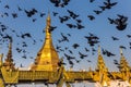 Gilded dome of a buddhist pagoda