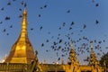 Gilded dome of a buddhist pagoda