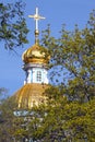 Gilded dome and the young leaves