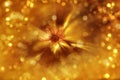 Gilded Flower Zoom Blur