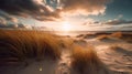 Gilded Sands: A Captivating Coastal Oasis at the Golden Hour