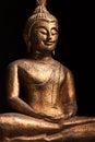 The gilded statue of smilin Buddha, in Southeast Asia style.