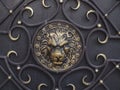 Gilded textured image of a lion`s head with forged ornament on a black iron surface