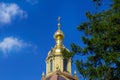 Gilded upper part of orthodox Christian temple against background of blue sky and green spruce branches Royalty Free Stock Photo