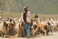 Pakistan Shepherds in Traditional dress with goats, herd high in Gilgit Baltistan mountains Royalty Free Stock Photo