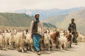 Pakistan Shepherds in Traditional dress with goats, herd high in Gilgit Baltistan mountains Royalty Free Stock Photo