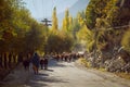 Local shepherds and flock of cattle walking on the road in countryside Royalty Free Stock Photo