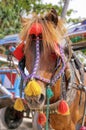 Gili Air Island in the Indian Ocean. 03.01.2017 Pony taxi on the island. Private transport. On the island there is no equipment