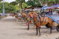 Gili Air Island in the Indian Ocean. 03.01.2017 Pony taxi on the island. Private transport. On the island there is no equipment