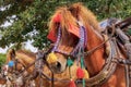 Gili Air Island in the Indian Ocean. 03.01.2017 Pony taxi on the island. Private transport. On the island there is no equipment