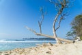 Gili Trawangan Beach are archipelago Royalty Free Stock Photo