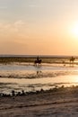 Sunset whit Horse riders on Gili Trawangan Island, Lombok, Indonesia Royalty Free Stock Photo