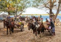Gili Trawangan, Lombok/Indonesia - September 11,2017 : Horse Carriage at the island of Gili Tranwagan, Gili Islands have banned Royalty Free Stock Photo