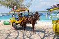 Gili Trawangan, Lombok/Indonesia - September 11,2017 : Horse Carriage at the island of Gili Tranwagan, Gili Islands have banned Royalty Free Stock Photo