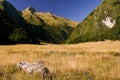 Gillespie Pass Circuit in Mount Aspiring national park - New Zealand Royalty Free Stock Photo