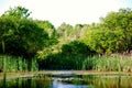 Gilsland Farm Pond