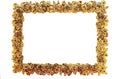 Gilt Frame Royalty Free Stock Photo