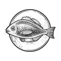 Gilt head bream dorada fish on plate sketch vector