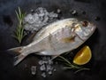 Gilt-head bream (dorade) and rosemary on ice top view.