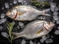 Gilt-head bream (dorade) and rosemary on ice top view.