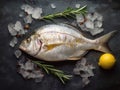 Gilt-head bream (dorade) and rosemary on ice top view.