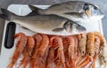 Gilt-head bream, sea bass, prawns and langoustines Royalty Free Stock Photo