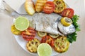 Gilt head Sea bream Fish Royalty Free Stock Photo