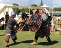 Gimli Viking Festival 2013