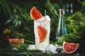 Gin bitter grapefruit long drink cocktail with dry gin, tonic, and ice. Deep green background with tropical leaves. Bar tools, Royalty Free Stock Photo