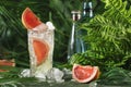 Gin bitter lemon alcoholic long drink cocktail with dry gin, tonic, grapefruit and ice cubes. Deep jungle green background with Royalty Free Stock Photo