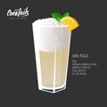 Gin Fizz cocktail glass mint leaf orange illustration Royalty Free Stock Photo