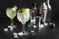 Gin fizz cocktail