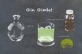 Gin Gimlet Cocktail